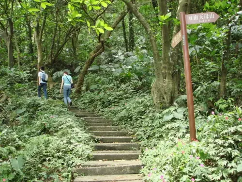 00005 南天母山登山步道.webp