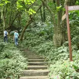 00005 南天母山登山步道