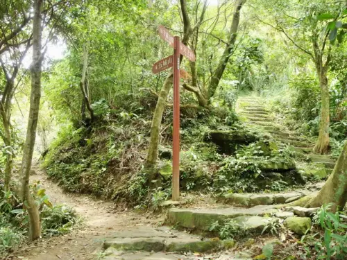 00010 五城山、天上山叉路.webp