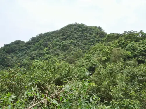 00009 仰望天上山.webp