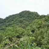 00009 仰望天上山