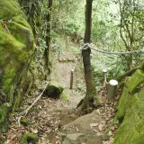 00025 天上山步道