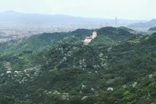 00014 天上山遠眺台北101.webp