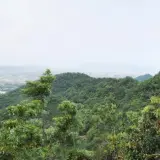 00024 遙望天上山、南天母山