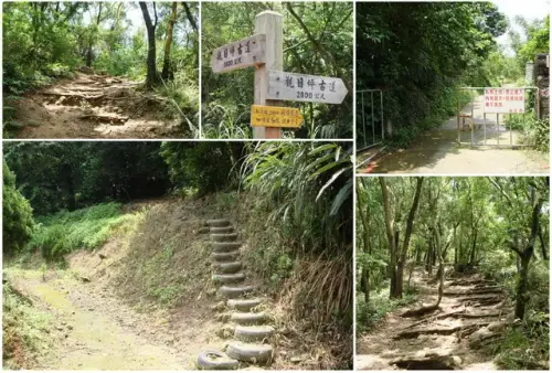 00007 飛鳳山觀日坪步道.webp