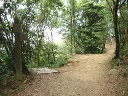 00011 飛鳳山觀日坪步道.webp