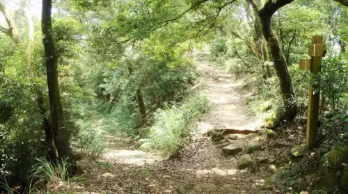 00009 飛鳳山觀日坪步道.webp