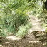 00009 飛鳳山觀日坪步道