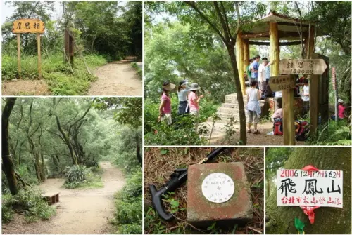 00017 飛鳳山(二涼亭旁邊).webp