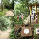 00017 飛鳳山(二涼亭旁邊)