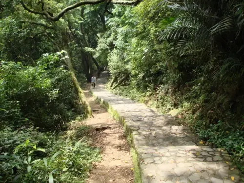 00016 飛鳳山森林步道.webp