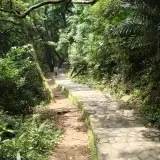 00016 飛鳳山森林步道