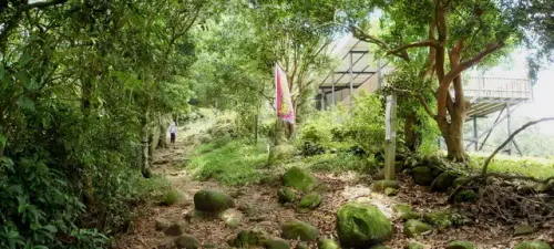 00010 飛鳳山觀日坪步道.webp