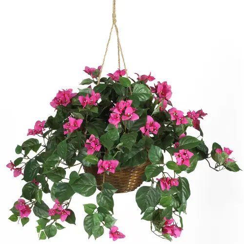 Nearly Natural 24 Bougainvillea Hanging Basket Artificial Plant Pink 87833498 ccae 4056 bd61 74e968a.webp