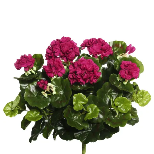 Vickerman 17 5 Artificial Purple Polyester Geranium Bush 1ed0b837 928c 4281 beac 4a6baef2bcdd.890a7e