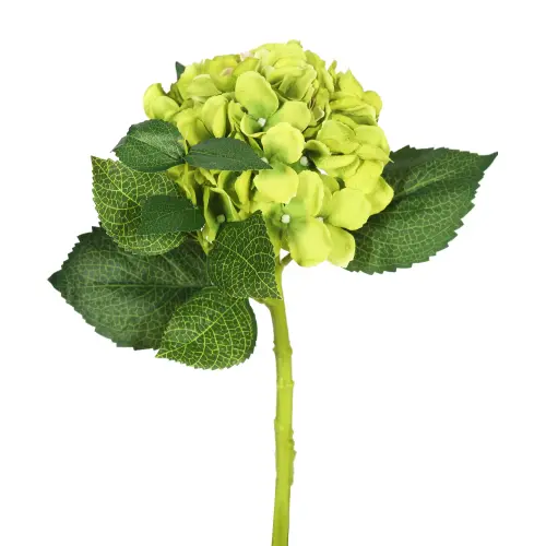 Vickerman 15 Short Stem Artificial Green Hydrangea Set of 3 e8471477 61fc 4924 aeb0 b7cae5f1e845.c2f.webp