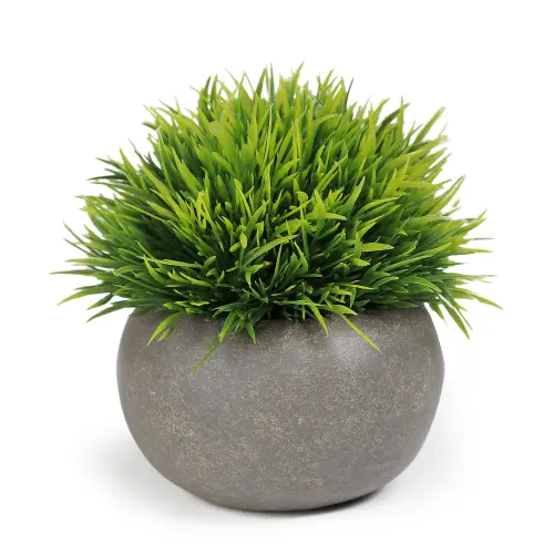 Mainstays Artificial Boxwood Plant With Cement Pot in Gray aaf6e32c 0679 4867 afc0 5d4f820ef45d.564e