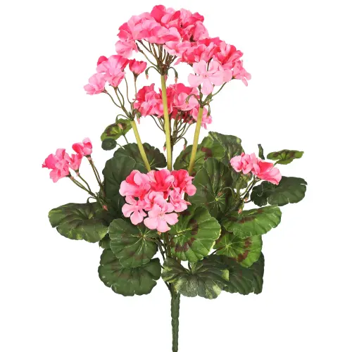 Vickerman 20 Artificial Pink Geranium Bush 0307666a ba97 4787 bfde 6f95c273694e.f1c471a5964bb6448f39.webp