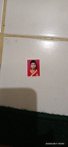 scaled d88197d3 5d8d 4318 9e09 422e67f44ae62528889817315287652.jpg