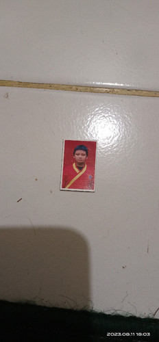 scaled 54a46f38 5475 4862 9bcc 9136cade18b87482028423975597600.jpg