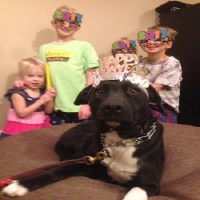 Dog training USA.jpg