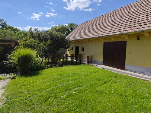 IMG 20230811 144206.jpg