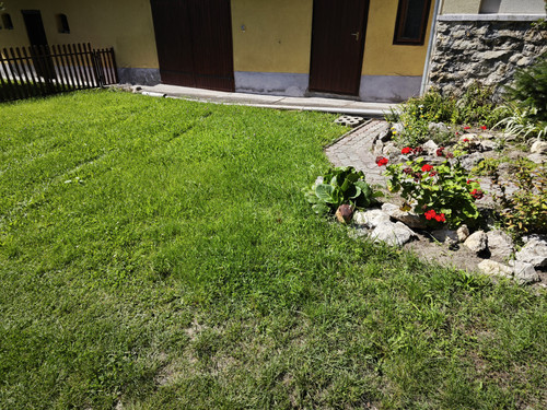 IMG 20230811 144142.jpg