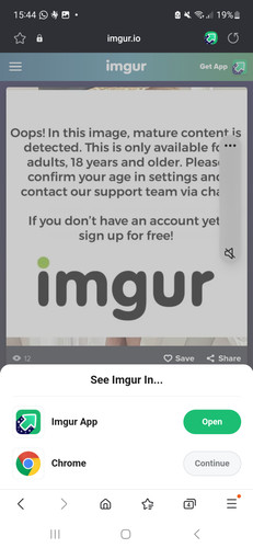 Screenshot 20230811 154410 Samsung Internet.jpg