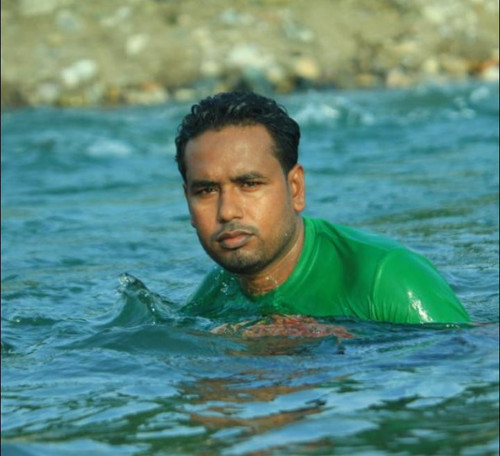 orca image 2065172389.jpg