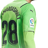 mamardashvili.png