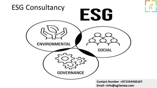 ESG Consultancy 1.jpg