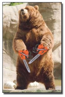 Chainsaw Bear.jpg