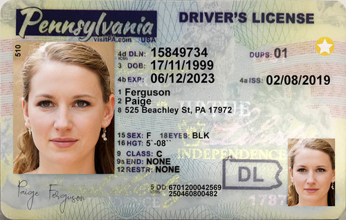 Paige Ferguson.jpg