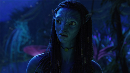 Аватар (Расширенная версия) Avatar (Extended Collector's Edition) 2009 ДБ, СТ Blu Ray Remux (1080p)..jpg