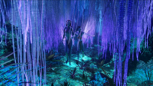 Аватар (Расширенная версия) Avatar (Extended Collector's Edition) 2009 ДБ, СТ Blu Ray Remux (1080p)..jpg