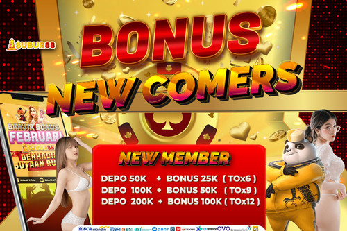 BONUS NEW COMERS 900 600.jpg