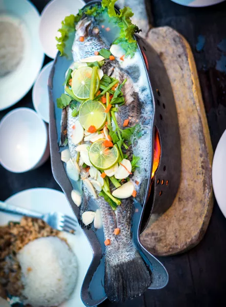food7.webp