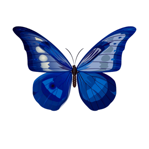 66767 butterfly lottie animation.gif