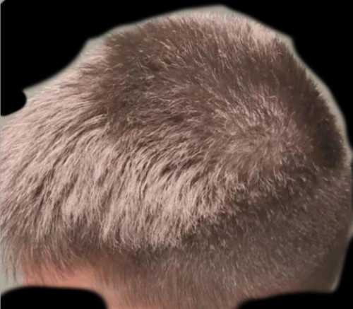 top.jpg