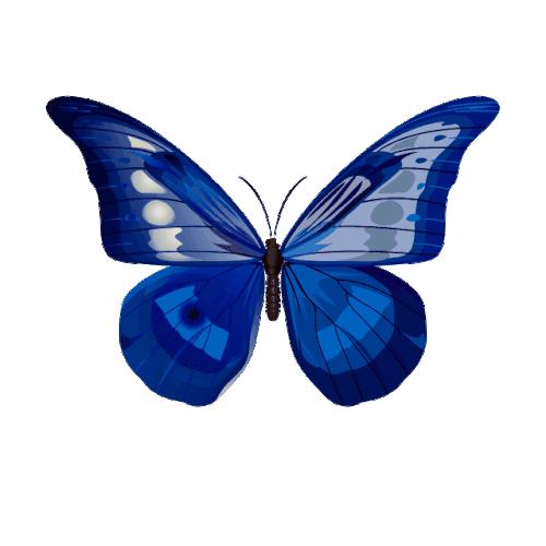 output onlinegiftools.gif