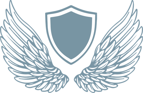 ICONLIGHTBLUE.png