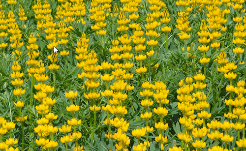 2023 02 07 21 28 00.png