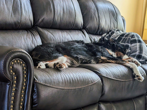 PXL 20230207 202845434~2