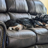 PXL 20230207 202845434~2