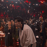 harry 2.gif