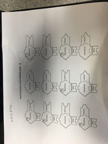 989A210D 4C03 40FF A2C1 114643F29D40.jpg