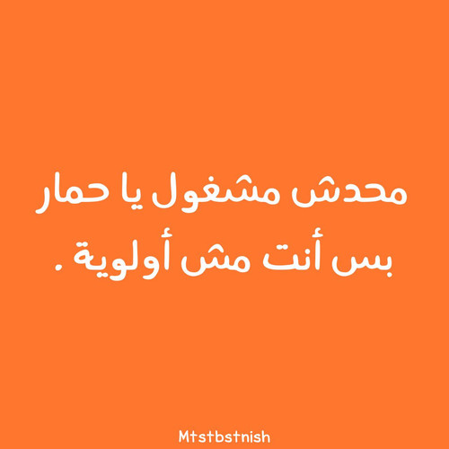 IMG 20230213 201918 703.jpg