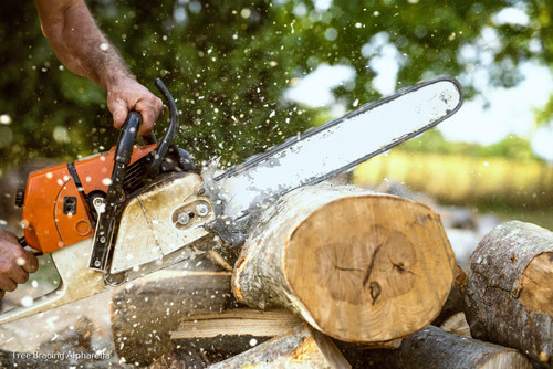 Atlanta Classic Tree Service 3.jpg