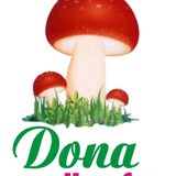 1909 CÔNG TY TNHH SẢN XUẤT THƯƠNG MẠI DONA HOA SEN (1)