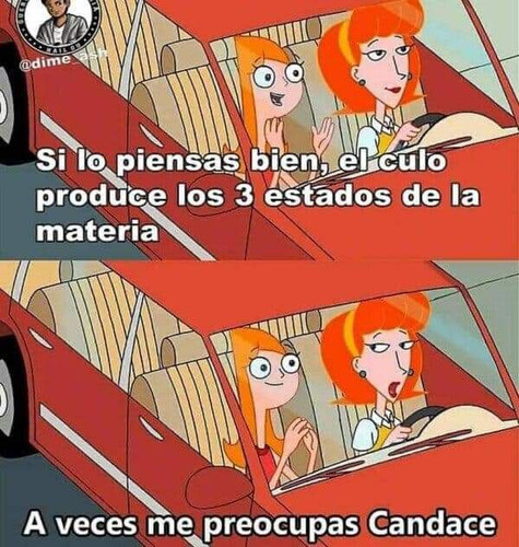 file 146.jpg